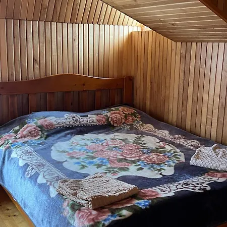 Homestay Domashnya Oselya *