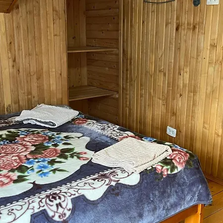 Domashnya Oselya Werchowyna