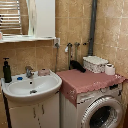 Homestay Domashnya Oselya Verkhovyna