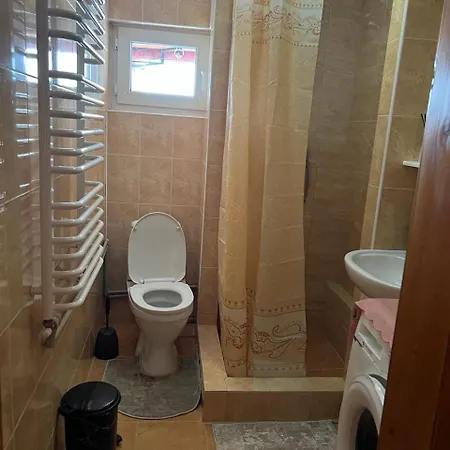 Domashnya Oselya *