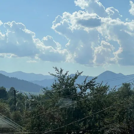 Domashnya Oselya Verkhovyna