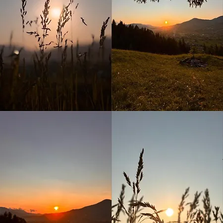 Domashnya Oselya * Werchowyna