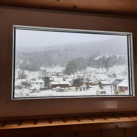 Domashnya Oselya *